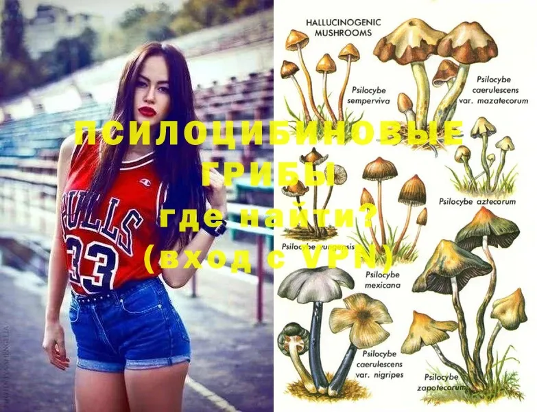 Псилоцибиновые грибы MAGIC MUSHROOMS  Болохово 